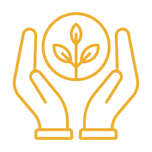 Icon 5