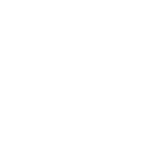 Icon 01